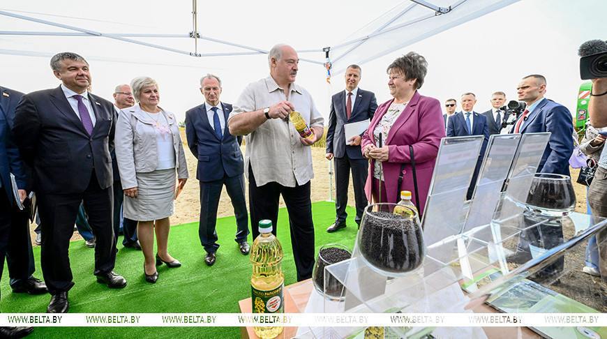 Alexander Lukaschenko besucht Kreis Smolewitschi, August 2025