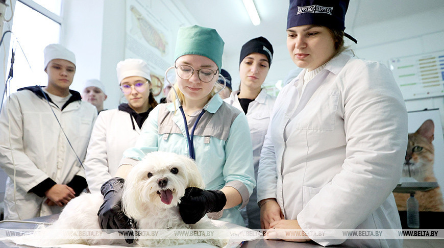 100-jähriges Jubiläum der Veterinärakademie Witebsk