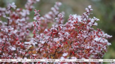 Erster Schnee in Grodno