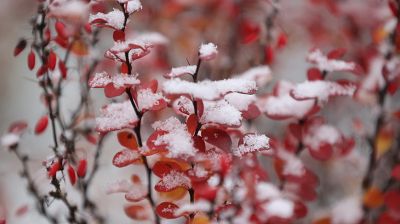 Winter in Grodno