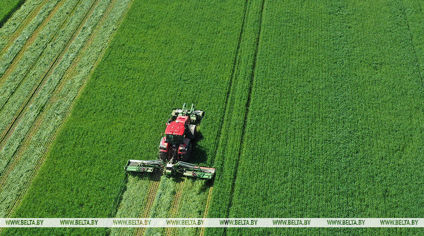 Erster Grasschnitt im Gebiet Grodno