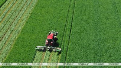 Erster Grasschnitt im Gebiet Grodno