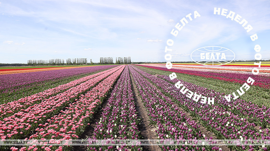 Bilder der Woche 