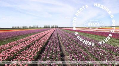 Bilder der Woche 