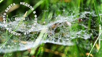 Bilder der Woche 