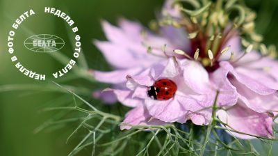 Bilder der Woche 