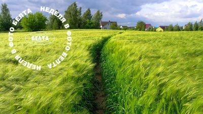 Die besten Bilder der Woche  