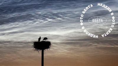 Bilder der Woche 