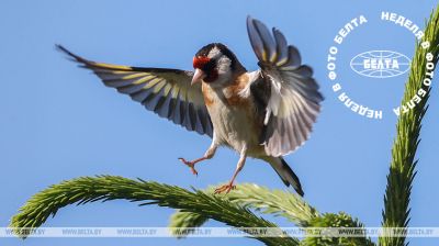 Bilder der Woche 