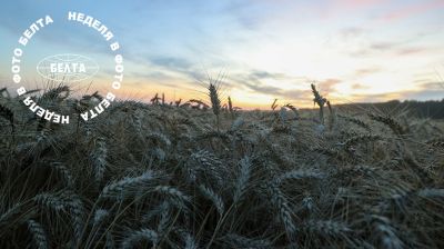 Bilder der Woche 