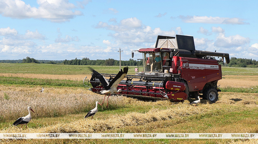 Erntekampagne 