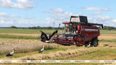 Erntekampagne 