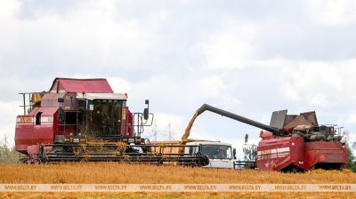 Erntekampagne in Dserschinsk 