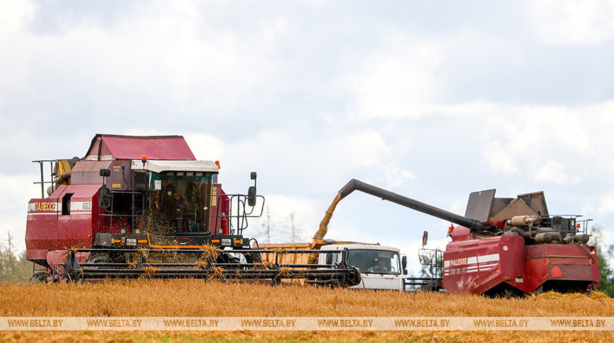 Erntekampagne in Dserschinsk 