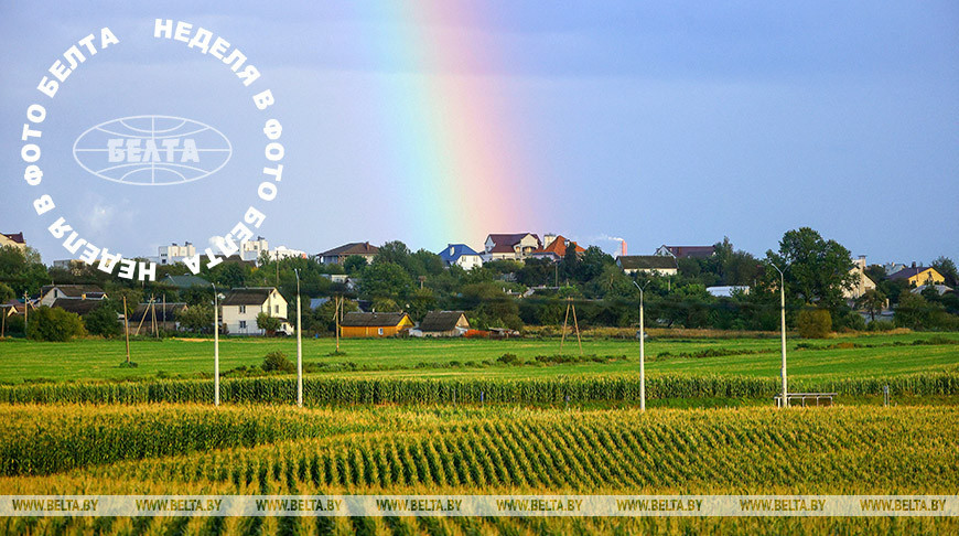 Bilder der Woche 