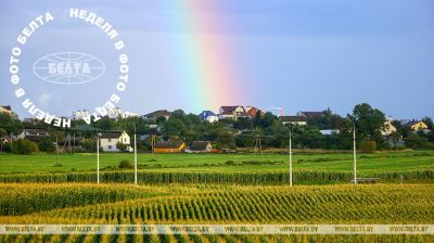 Bilder der Woche 