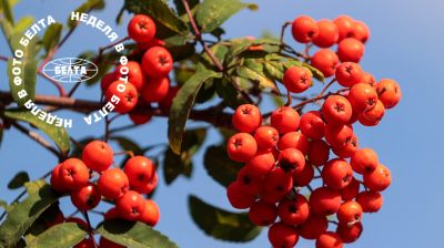 Bilder der Woche 