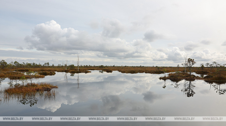 Naturschutzgebiet Jelnja 