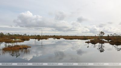 Naturschutzgebiet Jelnja 