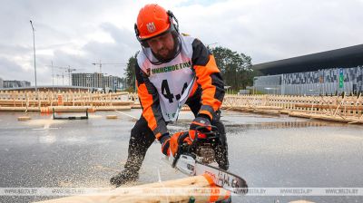 Holzfällerwettbewerb auf der Holzmesse  