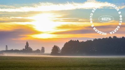 Bilder der Woche 