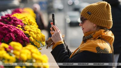 Goldene Herbstfarben
