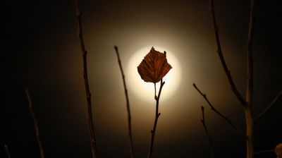 Bibermond über Belarus 