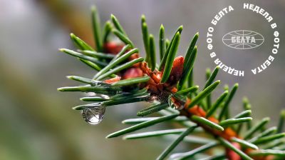 Bilder der Woche 