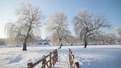 Sonniger Tag im Januar in Minsk   