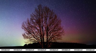  Polarlichter am Himmel über Belarus
  