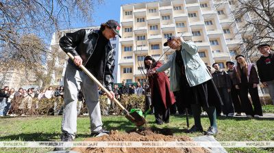 Studenten aus Belarus und Russland pflanzten einen Freundschaftsbaum in Minsk 