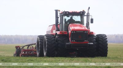 Getreideaussaat im Kreis Luninez abgeschlossen 