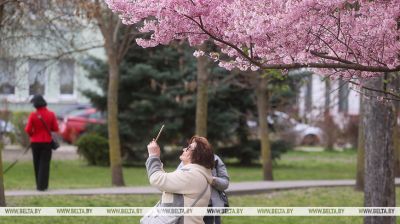 Auf den Straßen von Brest 