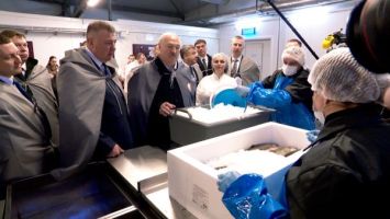 Lukaschenko: Der Markt muss mit Fisch gefüllt werden