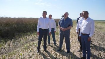 Lukaschenko über Erntekampagne: Wir müssen heute eher taktisch als strategisch vorgehen