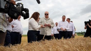 Lukaschenko besucht den Agrarbetrieb „Sarja“ bei Mogiljow 