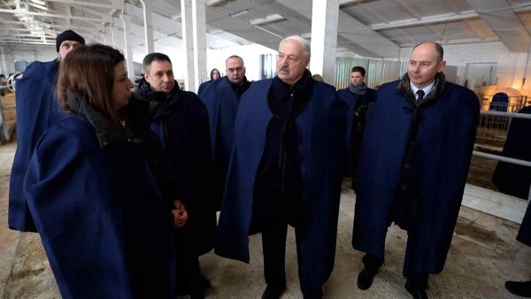 Arbeitssamstag des Präsidenten. Lukaschenko besucht Milchwirtschaftsbetrieb bei Logoisk