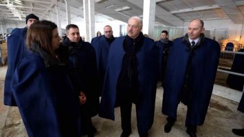 Arbeitssamstag des Präsidenten. Lukaschenko besucht Milchwirtschaftsbetrieb bei Logoisk