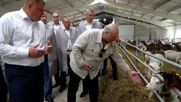 Lukaschenko erhielt zwei Ziegen geschenkt