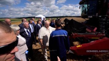 Lukaschenko über die Erntekampagne: Wir müssen das Tempo erhöhen, koste es, was es wolle