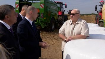 Lukaschenko lobt Arbeit der Landwirte während der Erntekampagne